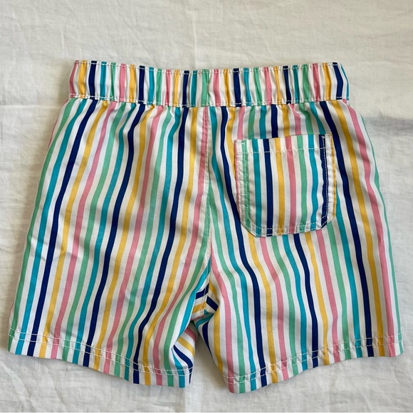 Pastel Stripe Swim Trunks, 3T - Picture 2 of 3